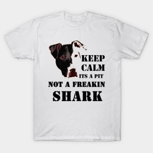 keep calm its a pit bull not a freakin shark, pitbull T-Shirt